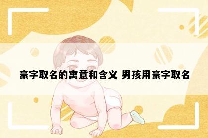 豪字取名的寓意和含义 男孩用豪字取名